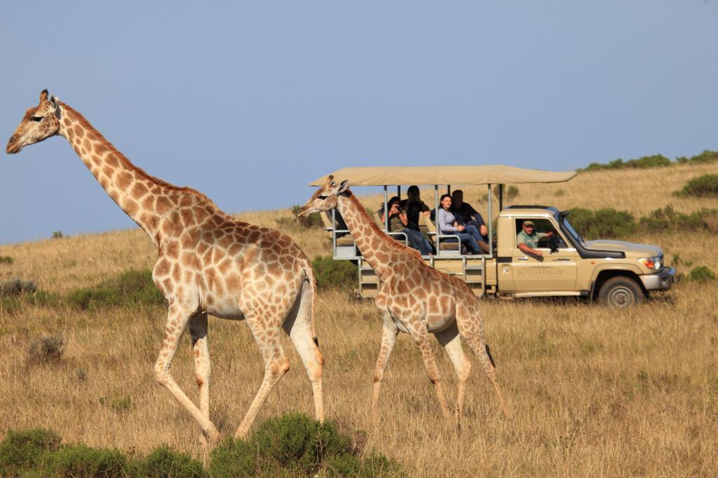 Botlierskop Private Game Reserve Villa Reebok Exterior foto